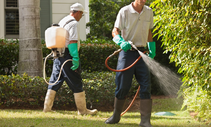 mosquito control services Edmonton