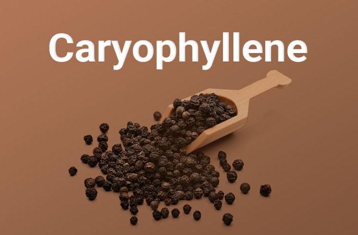 Beta-Caryophyllene